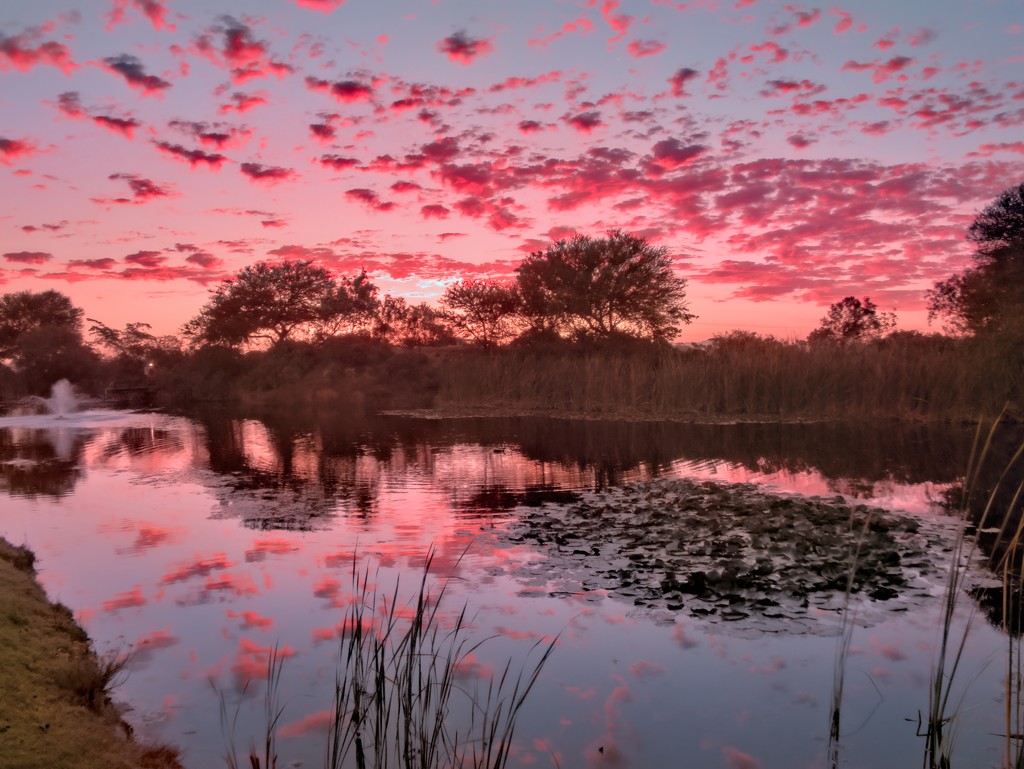 Pink polka dotted sky by ludwigsdiana
