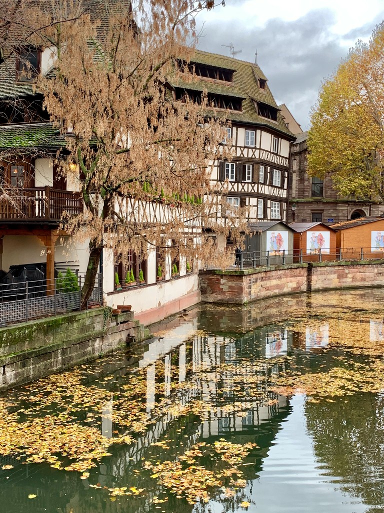 Strasbourg, France by graceratliff