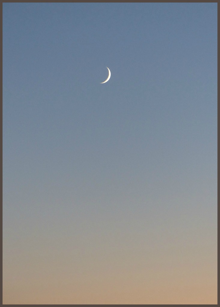 moon-sky by jokristina