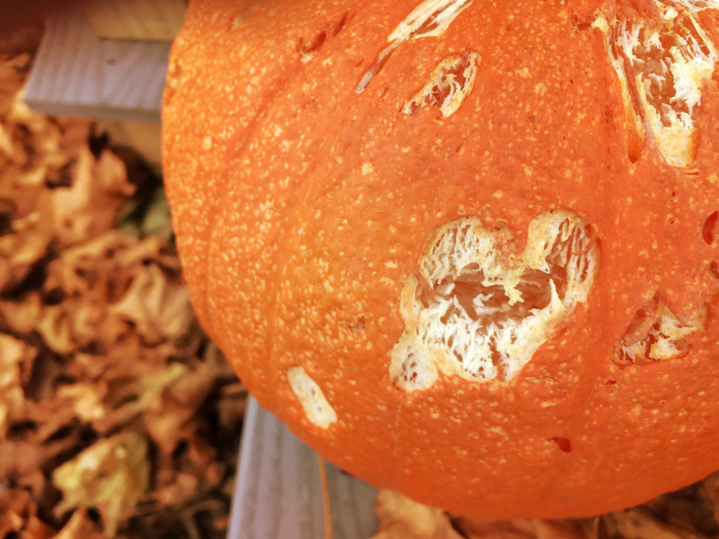 Heart on pumpkin by joansmor
