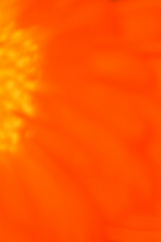 tangerine skies by wenbow