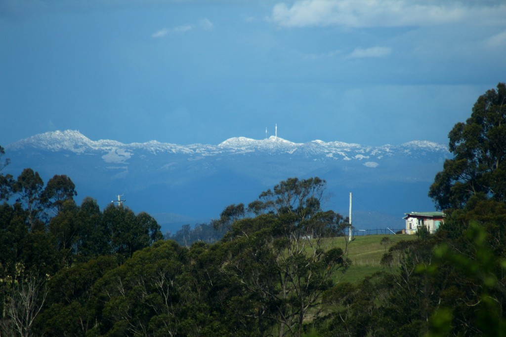 Mt Barrow in spring by wenbow