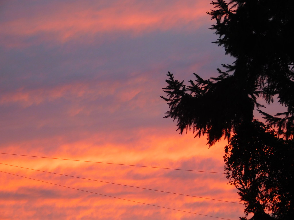 The sky was amazing this morning, couldnt get rid of the wires though.... by 365anne