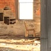 Abandoned Schoolhouse Chair by clay88
