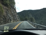 2nd Dec 2019 - Redwood highway