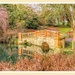 The Old Bridge,Castle Ashby Gardens by carolmw