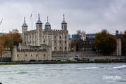 4th Dec 2019 - Tower of London