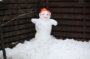 9th Jan 2011 - 365-Snowman IMG_2963
