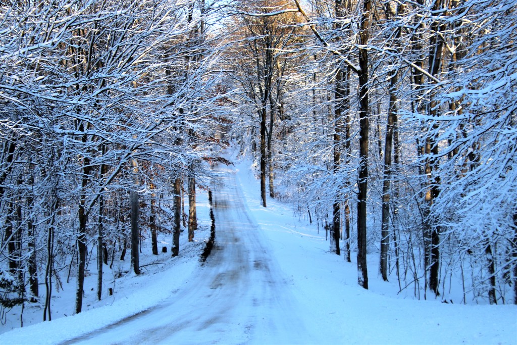 winter road by edorreandresen