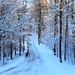 winter road by edorreandresen