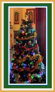 6th Dec 2019 - Our Christmas tree.