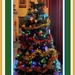 Our Christmas tree. by grace55