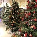  Christmas Trees in John Lewis by susiemc