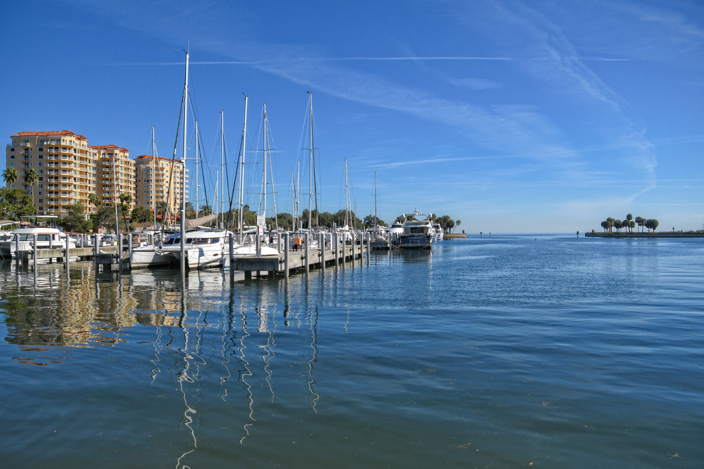 St. Pete Marina by danette