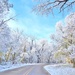 Winter Wonderland by lynnz