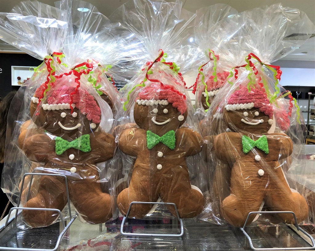  Giant Gingerbread Men  by susiemc