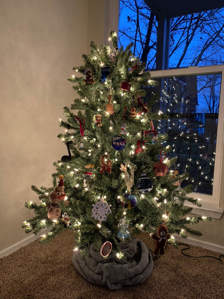 My daughter's first tree by julie