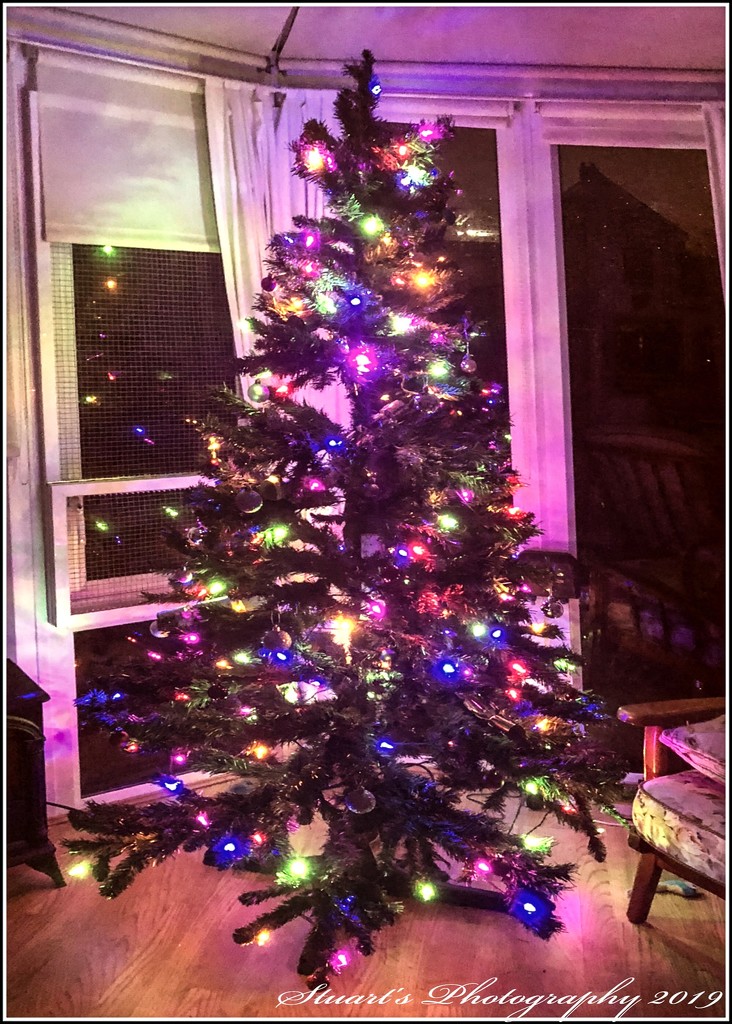Tree decorated and lit by stuart46