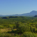 Saguaro and Mountains  by jgpittenger