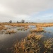Windy wetlands by julienne1