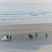 Ghost wedding on the beach ( Artist Challenge : Alexey Titarenko ) by etienne