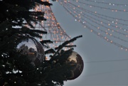 8th Dec 2019 - Chichester Reflected in a Tree's Baubles