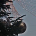 Chichester Reflected in a Tree's Baubles by 30pics4jackiesdiamond