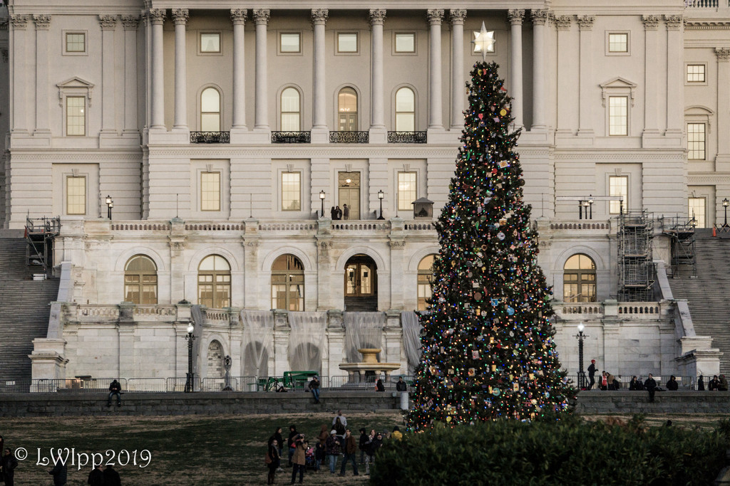 Christmas On The Hill  by lesip