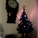 My little Christmas Tree  by beryl
