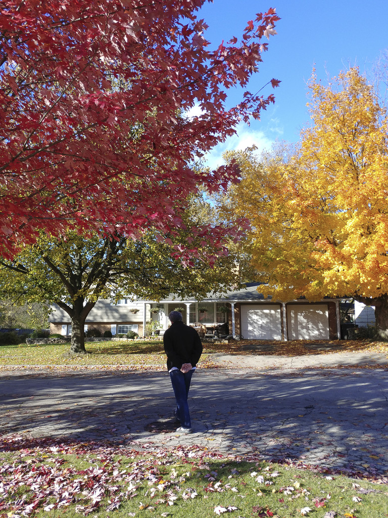 Walking in the fall sooc by houser934