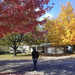 Walking in the fall sooc by houser934