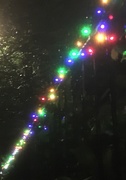9th Dec 2019 - Christmas lights