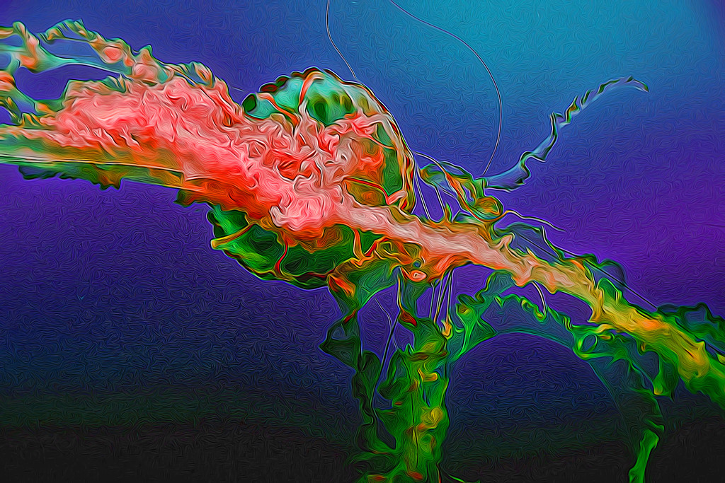 Christmas Jellyfish by joysfocus