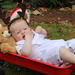 Bumping up and down in the little red wagon.... by gilbertwood
