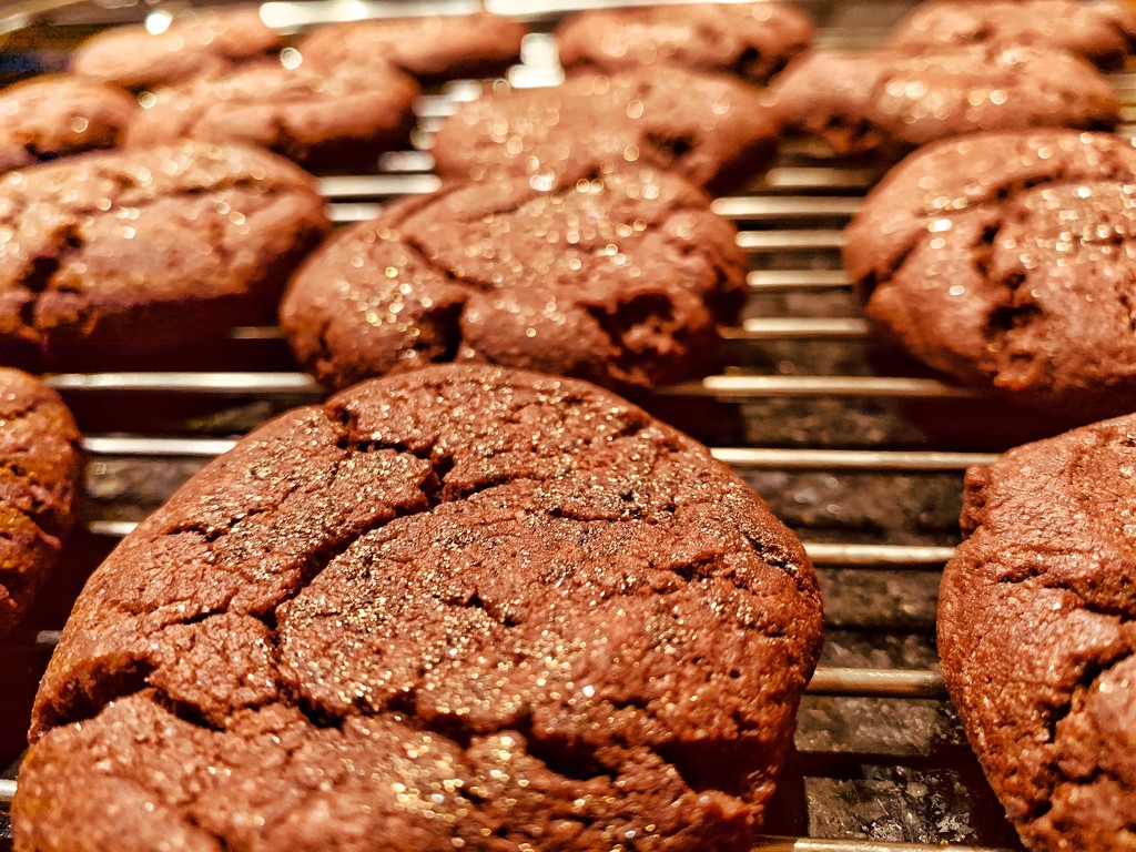 Chestnut-chocolate cookies.  by cocobella