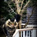 Love Being Outdoors by gardenfolk