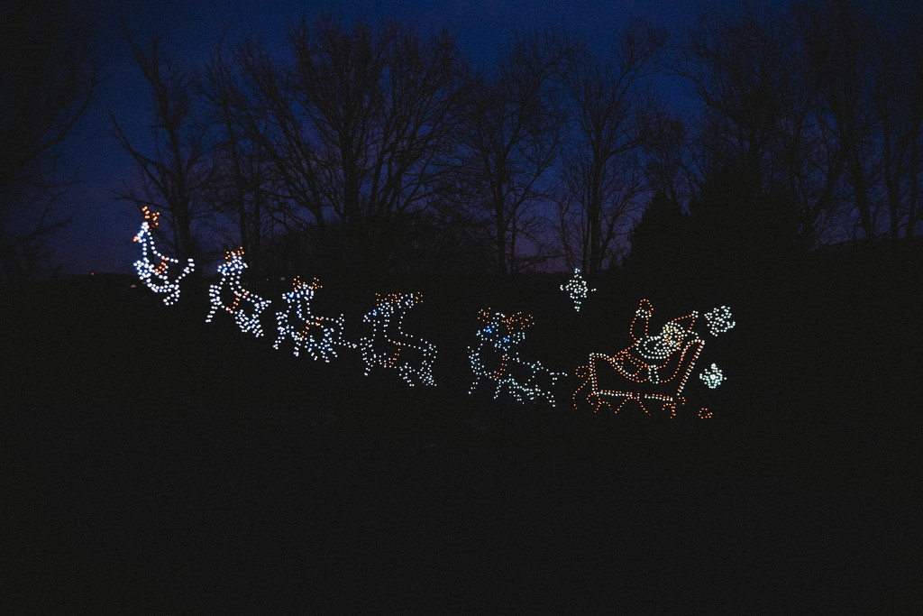 Our Annual Christmas Light trip by mistyhammond
