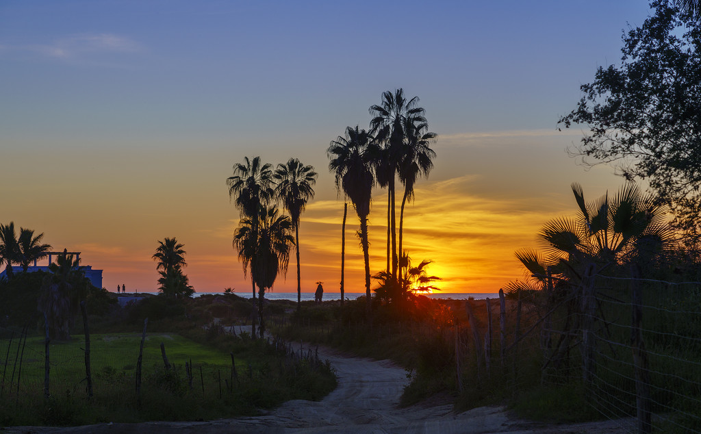 Walk To the Beach for Sunset  by jgpittenger