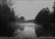 10th Dec 2019 - Mist on the Pond