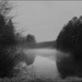 Mist on the Pond by olivetreeann