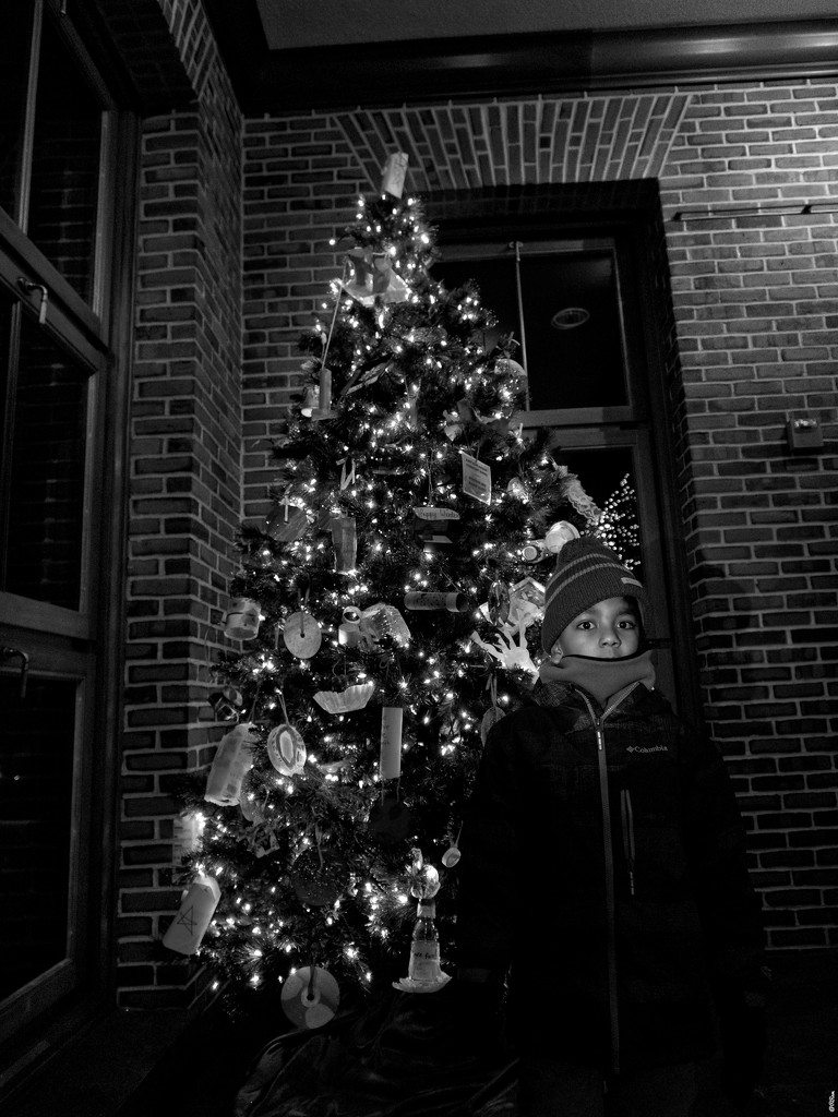 Christmas Tree In b&w by ramr