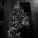 Christmas Tree In b&w by ramr