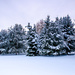 Winter wonderland  by elisasaeter