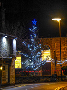 11th Dec 2019 - Village Christmas Tree