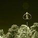 Weather Station, Wind Turbine or Windmill?? by robz