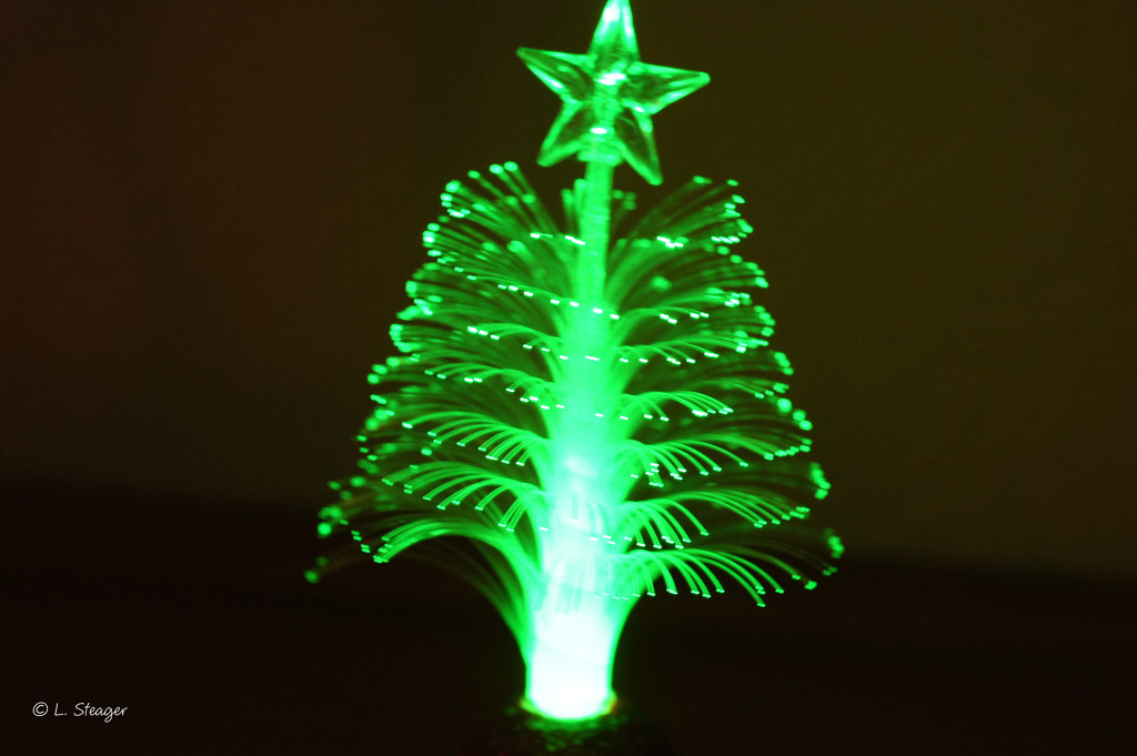 Lighted Christmas tree in green by larrysphotos