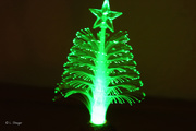 10th Dec 2019 - Lighted Christmas tree in green