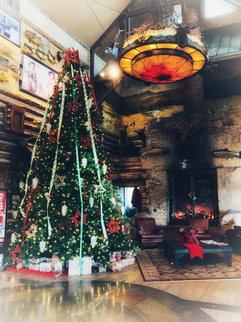 Christmas at Bass Pro by louannwarren