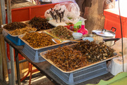 12th Dec 2019 - Bugs - Naklua Market