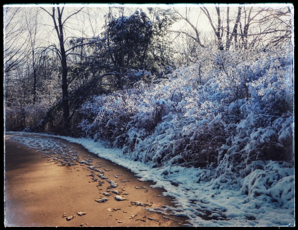 Winter walk by amyk